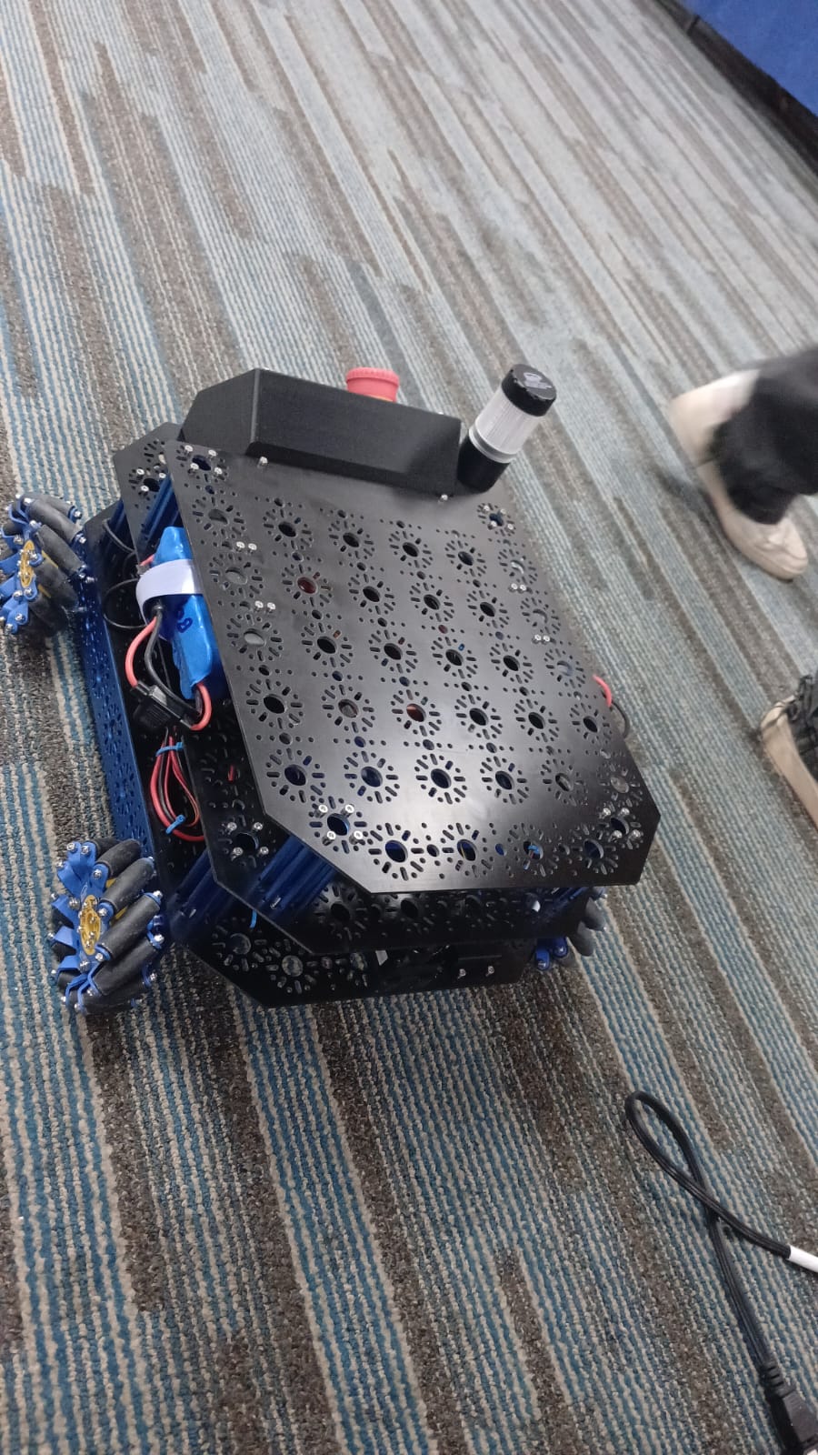 Early robot